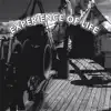 Experience of Life album lyrics, reviews, download