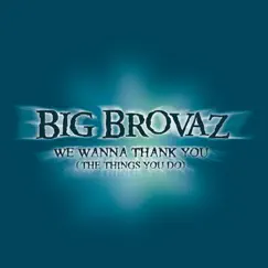 We Wanna Thank You (The Things You Do) - Single by Big Brovaz album reviews, ratings, credits