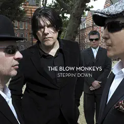 Steppin' Down - Single by The Blow Monkeys album reviews, ratings, credits