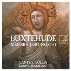 Membra Jesu Nostri, BuxWV 75: III. Ad Manus. Quid Sunt Plagae Istae Song Lyrics