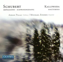 Schwanengesang, D. 957 (arr. A. Pillai): No. 12. Am Meer Song Lyrics