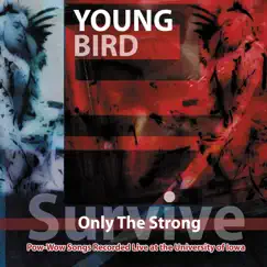 Only the Strong Survive (Live) by Young Bird album reviews, ratings, credits