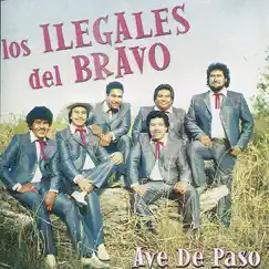 Ave de Paso by Los Ilegales del Bravo album reviews, ratings, credits