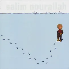 Ciphers for Snowing by Salim Nourallah album reviews, ratings, credits
