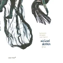 Between Shadow and Space by Michael Dessen Trio album reviews, ratings, credits