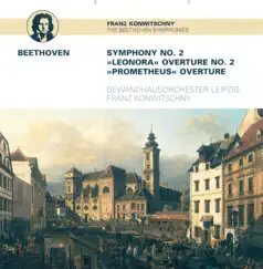 Symphony No. 2 In D Major, Op. 36: III. Scherzo: Allegro Song Lyrics