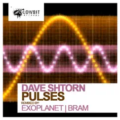 Pulses (Remixes) by Dave Shtorn album reviews, ratings, credits