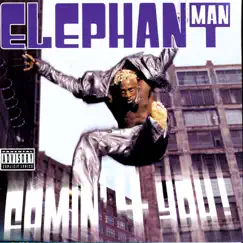 Comin' 4 You! by Elephant Man album reviews, ratings, credits