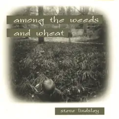 Among the Weeds and Wheat by Steve Lindsley album reviews, ratings, credits