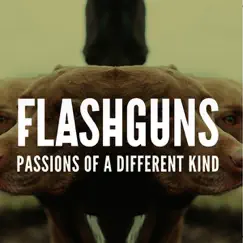 Passions of a Different Kind - Single by Flashguns album reviews, ratings, credits