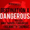 Dangerous: More Mixes album lyrics, reviews, download