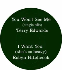 You Won't See Me (Single Edit) / I Want You (She's So Heavy) - Single by Terry Edwards & Robyn Hitchcock album reviews, ratings, credits