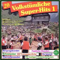 20 Volkstümliche Super-Hits 1 by Various Artists album reviews, ratings, credits