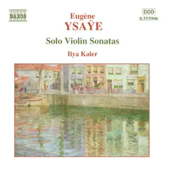Violin Sonata in G major, Op. 27, No. 5: I. L'aurore: Lento assai Song Lyrics