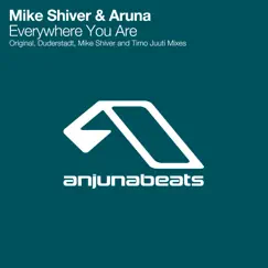 Everywhere You Are by Mike Shiver & Aruna album reviews, ratings, credits