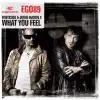 What You Feel (Remixes) album lyrics, reviews, download
