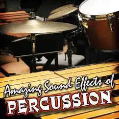 Amazing Sound Effects of Percussion by Sound FX album reviews, ratings, credits