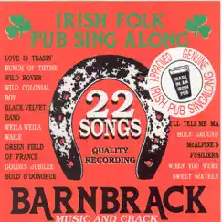 22 Irish Folk Pub Songs by Barnbrack album reviews, ratings, credits