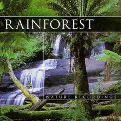 Rainforest 3 Song Lyrics