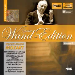 Flute Concerto No. 1 In G Major, K. 313 : III. Rondo: Tempo Di Menuetto Song Lyrics