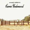 Acoustic Tribute to Carrie Underwood - Single album lyrics, reviews, download