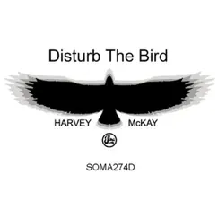 Disturb the Bird (Gary Beck Remix) Song Lyrics