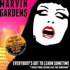 Everybody's Got to Learn Sometime - Single by Marvin Gardens album reviews, ratings, credits