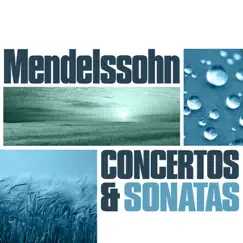 Concerto in E Minor for Violin and Orchestra, Op. 64: II. Andante Song Lyrics