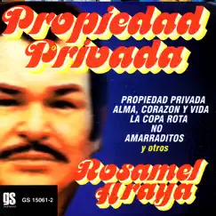 Propiedad Privada Song Lyrics