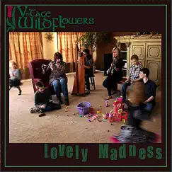 Lovely Madness by Vintage Wildflowers album reviews, ratings, credits