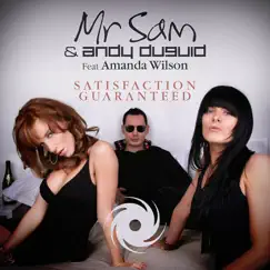 Satisfaction Guaranteed (feat. Amanda Wilson) Song Lyrics