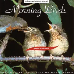 Sounds of the Earth: Morning Birds by Sounds of the Earth album reviews, ratings, credits