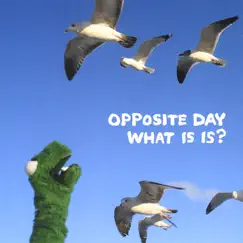 What Is Is? by Opposite Day album reviews, ratings, credits