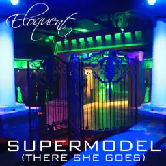 Supermodel (There She Goes) Song Lyrics
