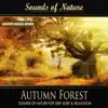 Autumn Forest (Nature Sounds) - Single album lyrics, reviews, download