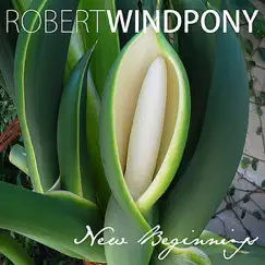 New Beginnings by Robert WindPony album reviews, ratings, credits