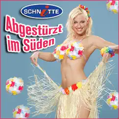 Abgestürzt im Süden - Single by Schnitte album reviews, ratings, credits