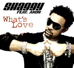 What's Love (feat. Akon) - EP by Shaggy album reviews, ratings, credits
