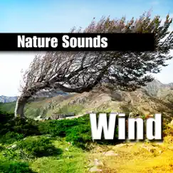 Whistling Wind Gusts Song Lyrics