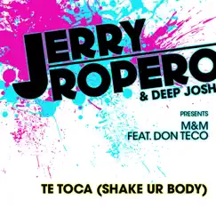 Te Toca (Shake Ur Body) [Extended Mix] [feat. Don Teco] Song Lyrics