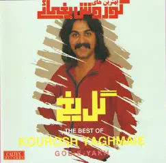 Asheghaneh Song Lyrics