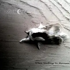 When Walking In Between by Aris N. Cape album reviews, ratings, credits