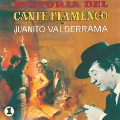 Historia del Cante Flamenco, Vol. 1 by Juanito Valderrama album reviews, ratings, credits