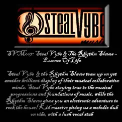 Essence of Life (Rhythm Slaves Mix) [Rhythm Slaves Mix] Song Lyrics