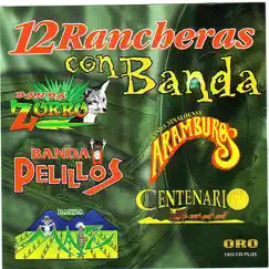 12 Rancheras Con Banda by Banda Zorro album reviews, ratings, credits