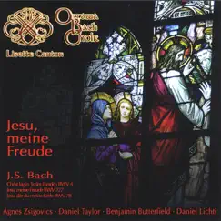Christ Lag In Todes Banden, BWV 4: 2. Versus I: Christ Lag Song Lyrics