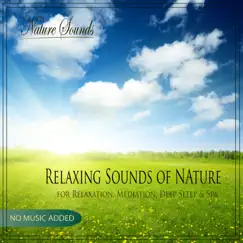 Relaxing Sounds of Nature for Relaxation, Mediation, Deep Sleep & Spa by Nature Sounds album reviews, ratings, credits