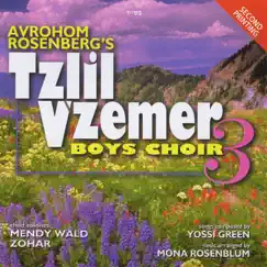 Volume 3 by Tzlil V'zemer Boys Choir album reviews, ratings, credits