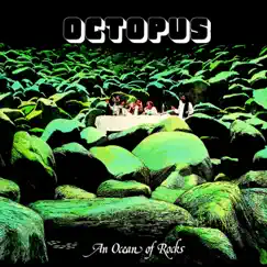 An Ocean of Rocks by Octopus album reviews, ratings, credits
