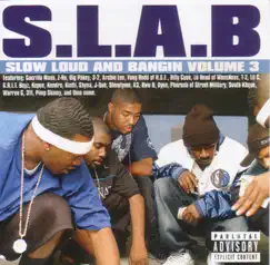 S.L.A.B., Vol. 3 by Boss, Dougie D, Jay'ton, Lil B & Trae tha Truth album reviews, ratings, credits
